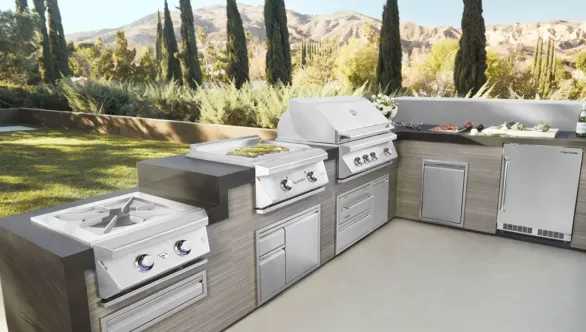 Twin Eagles BBQ Grills: 6 Reasons Why They’re Perfect For Summer